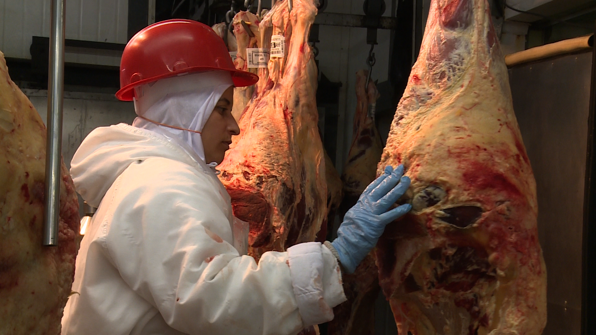 Professor da Unicamp reafirma qualidade da carne brasileira