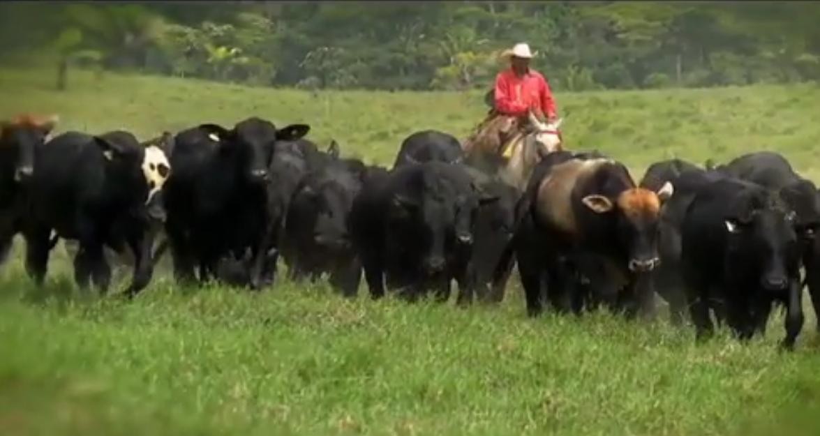 Fazenda Bella Aliança