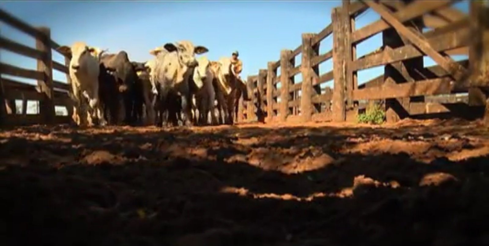 Fazenda Esperança – Marcos Rezende 01