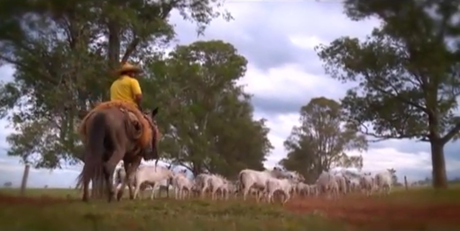 Fazenda Santa Barbara e Rancho Seco – Sandra Maria Massi – Parte 2