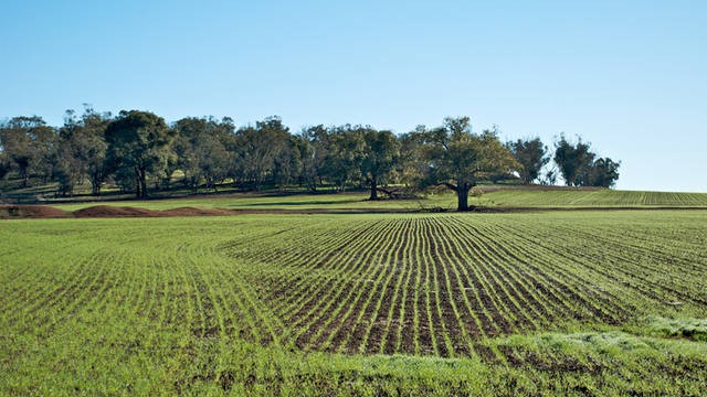 Prazo do CAR para pequenas propriedades é prorrogado