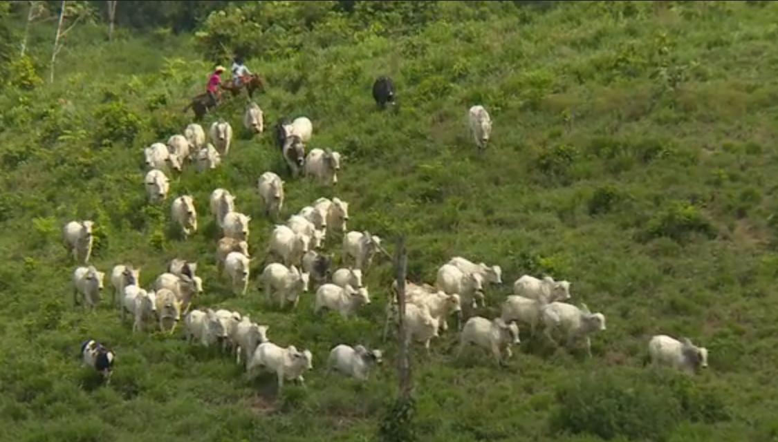 Fazenda São Francisco - parte 2