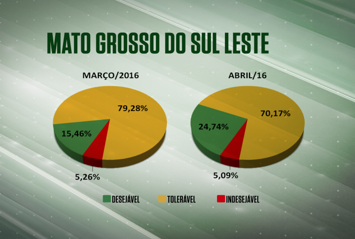 Farol verde cresce quase 10% na regional MS/Leste