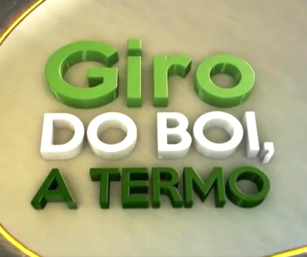 Oscilação do mercado dá vantagem para quem optou pelo Boi a Termo