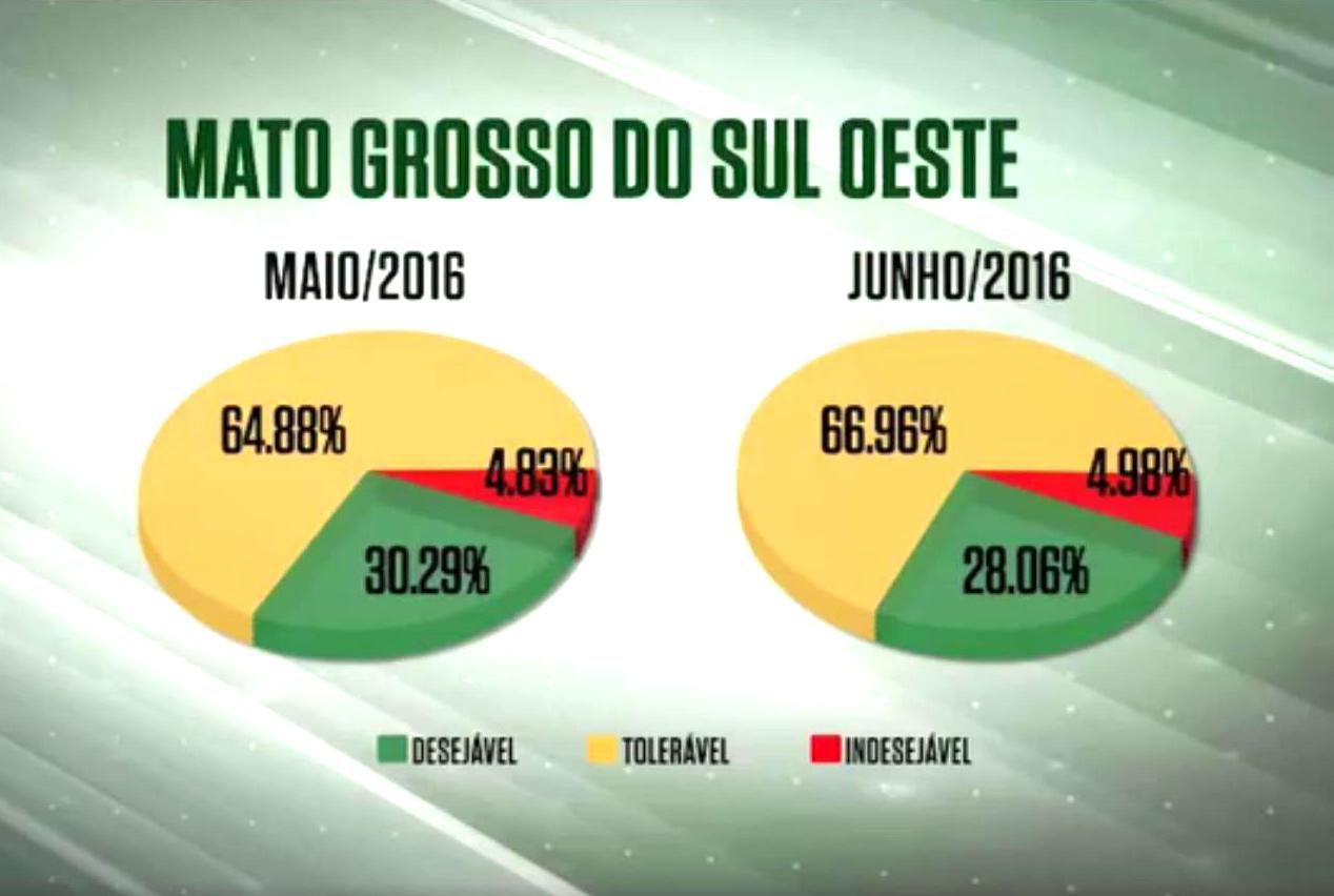 Apesar de recuo da regional, Farol Verde continua avançando em Coxim