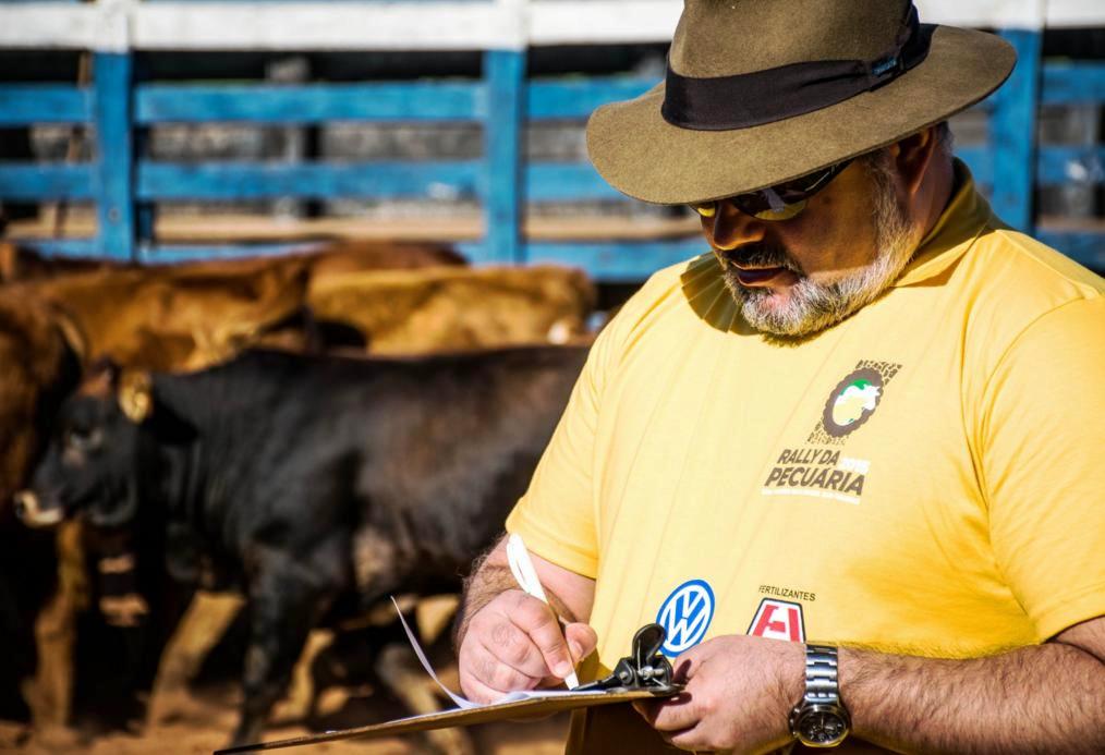 Redução do pacote tecnológico da fazenda impacta qualidade da terminação