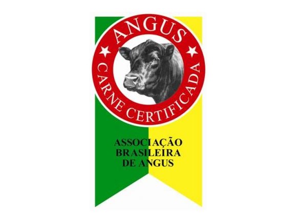 Quais as vantagens da raça Angus na produção de carne de qualidade?