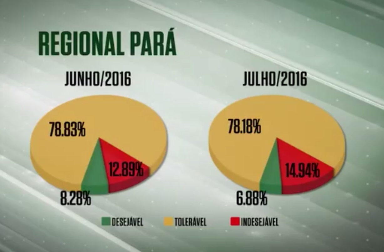 Seca prejudica a boiada do Pará