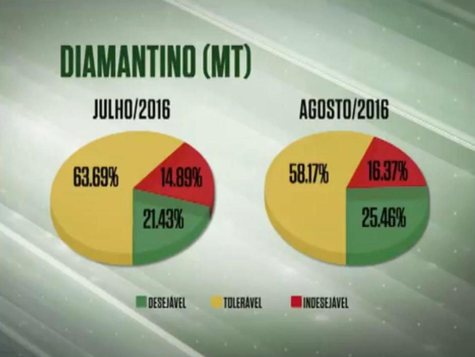 Diamantino em alta mantém números estáveis na MT/Sudoeste