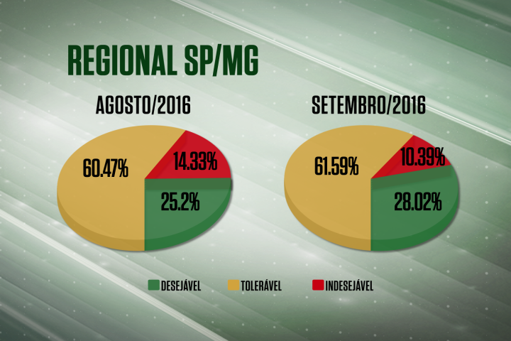 Farol Verde cresce 3% na regional SP/MG