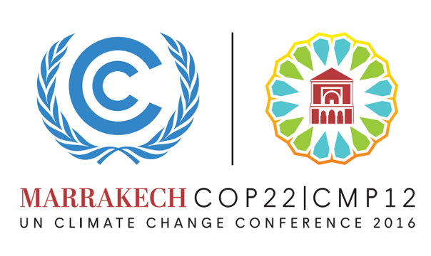 Fernando Sampaio conta as novidades da COP 22