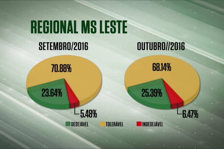 Confira a qualidade dos abates nas plantas da MS/Leste