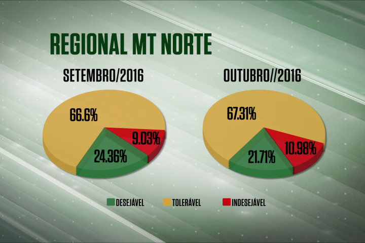 Farol Verde tem leve queda na regional MT/Norte