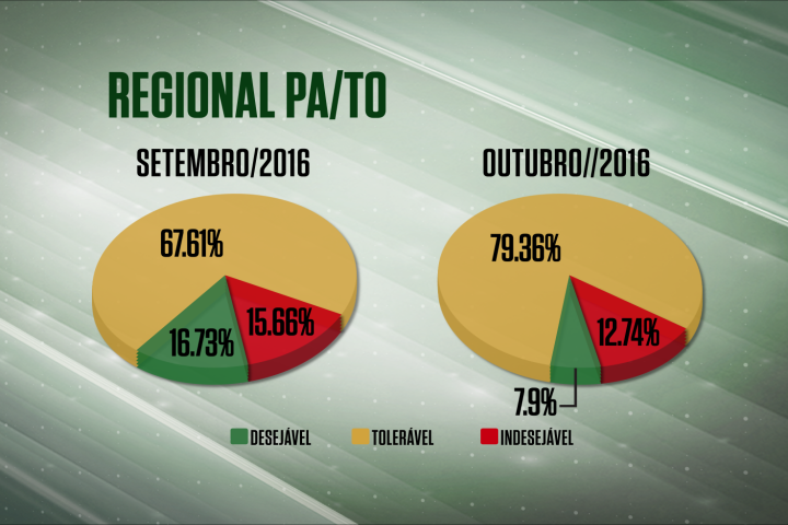 Confira a qualidade dos abates na regional PA/TO