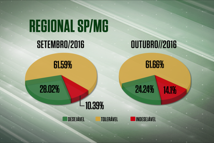 Confira a qualidade dos abates na regional SP/MG