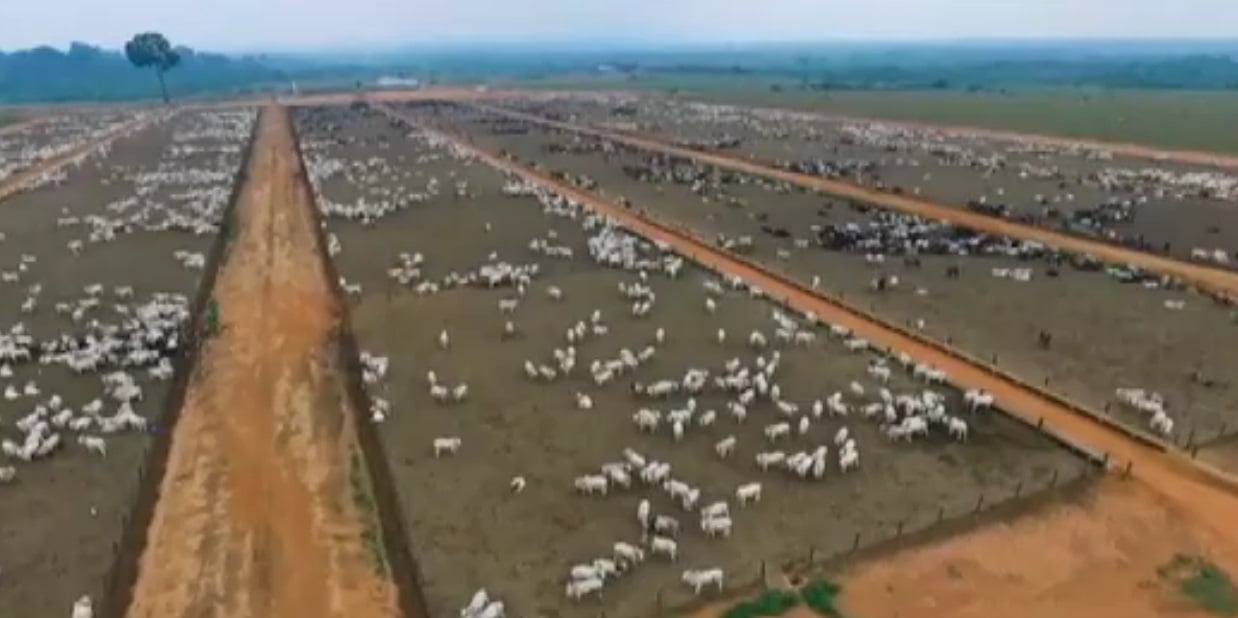 Vista aérea da fazenda Pontal. Foto: Divulgação