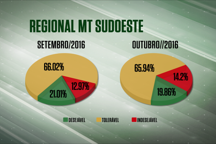 Confira a qualidade dos abates na regional MT/Sudoeste