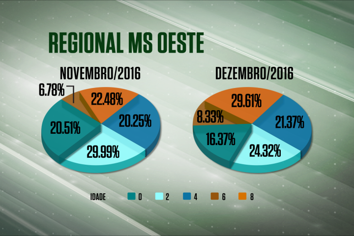 Abate de animais jovens no MS cai 9% em dezembro