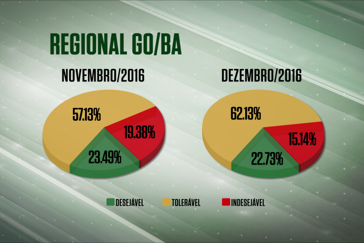 Aumenta qualidade das carcaças na regional GO/BA