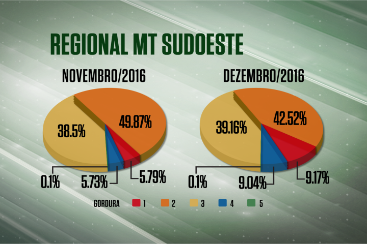 Sobe idade, mas melhora acabamento do gado no sudoeste do MT