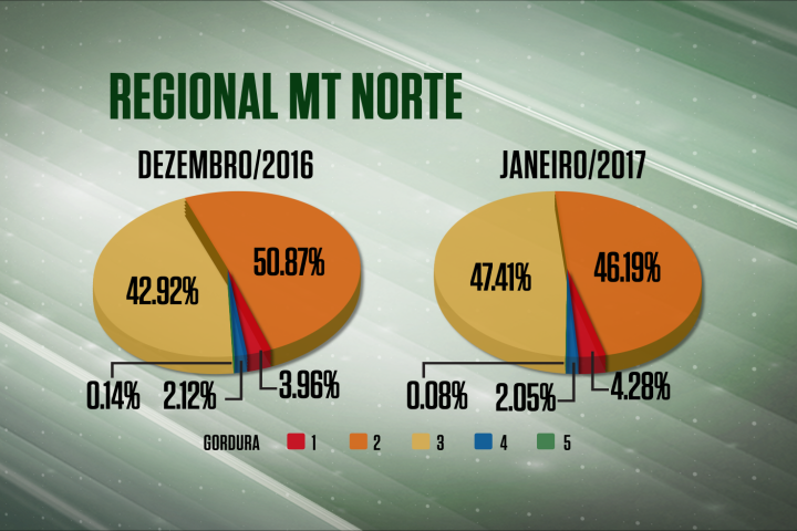 Abate de fêmeas segue em alta no norte do MT