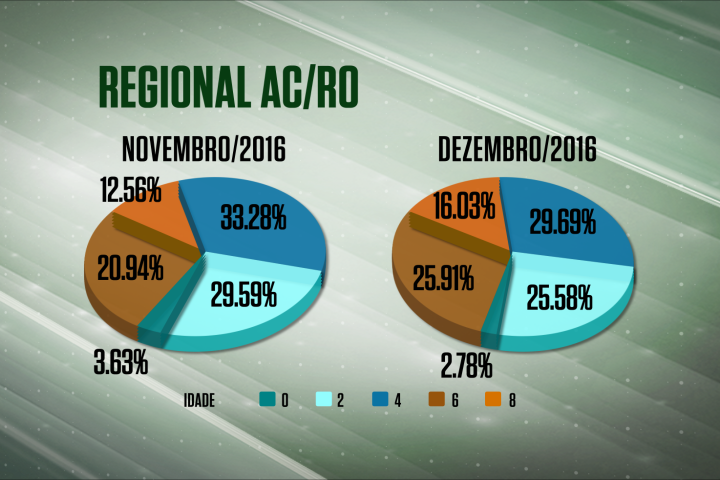 Recua o abate de animais jovens em RO e AC