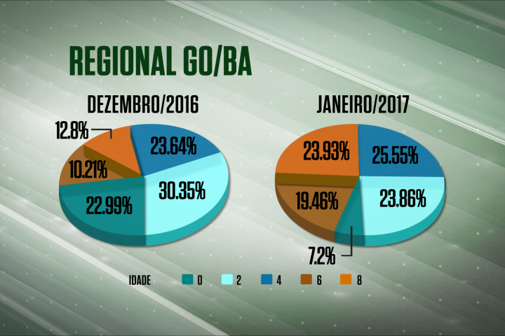 Diminui em 20% o abate de animais jovens em GO e BA