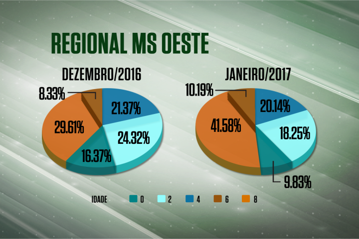 Melhora o acabamento e diminui o abate de animais jovens em MS