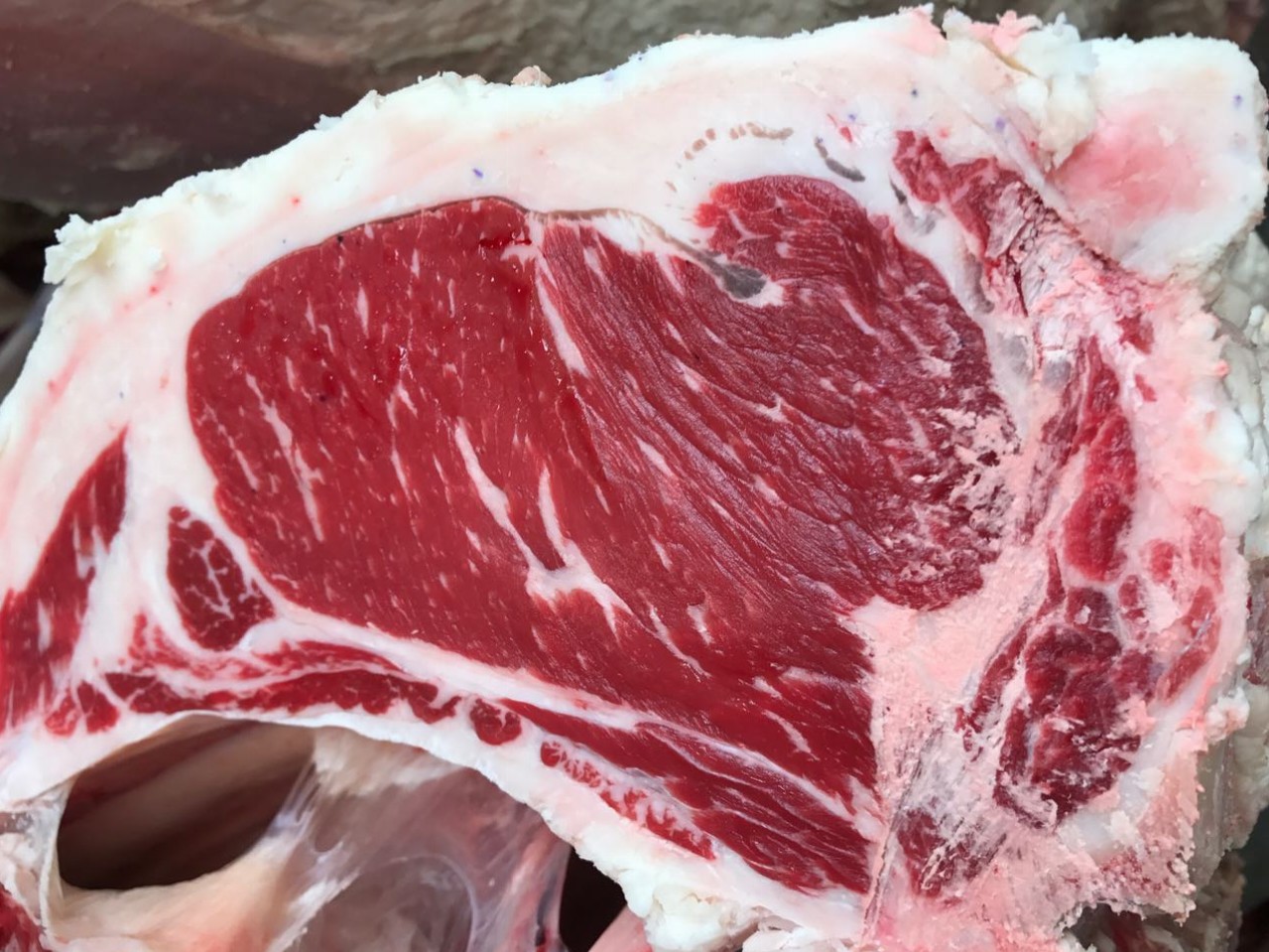 Brasil inicia a importação de carne bovina dos EUA