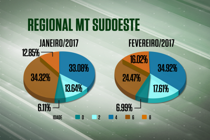 Diminui idade de gado abatido no Sudoeste do MT