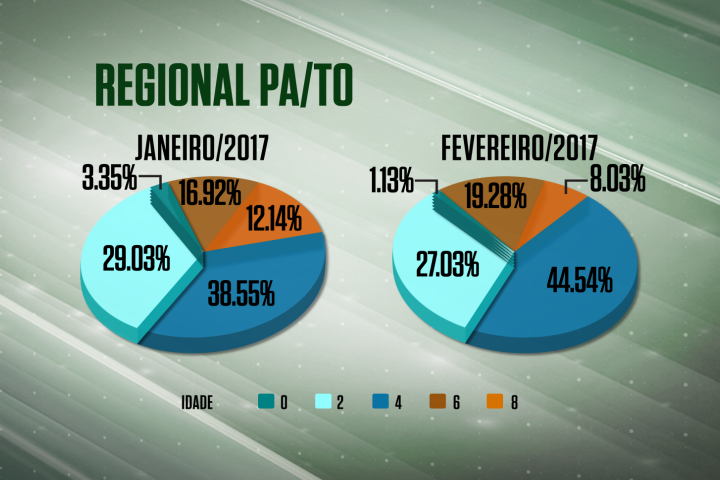 Aumenta abate de animais jovens em PA e TO