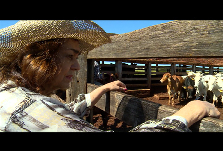 Participação de mulheres no agronegócio cresce e traz inovações