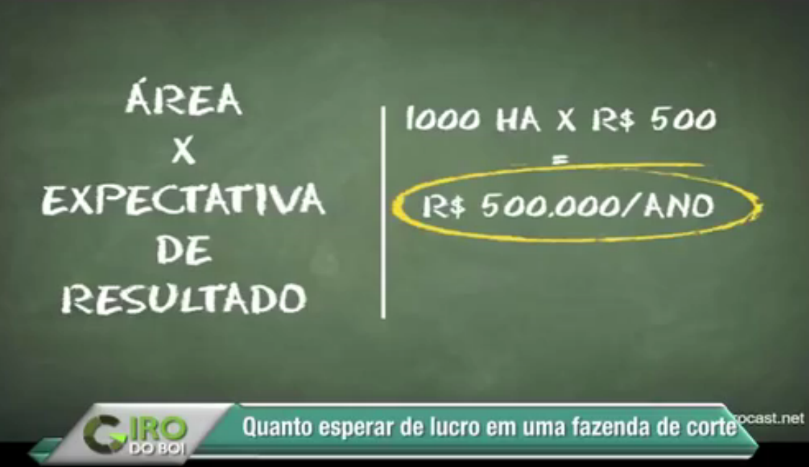 Quanto esperar de lucro em uma fazenda de corte?