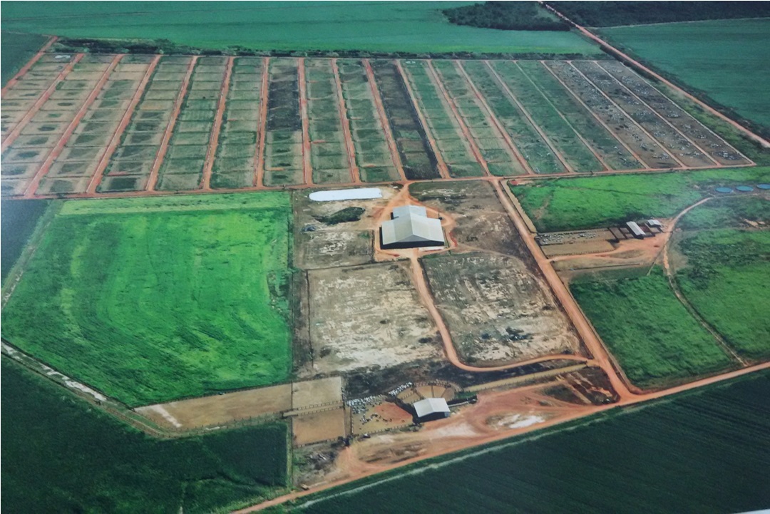 Mesa de Confinamento é destaque no quadro Giro pelo Brasil