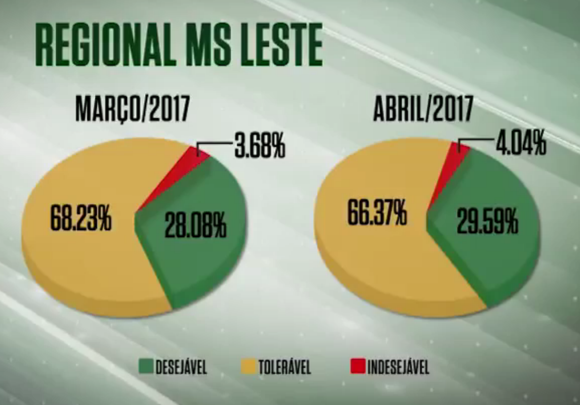 Boiada avança no ‘farol verde’ do MS e volume de animais desejáveis chega a 29,5%