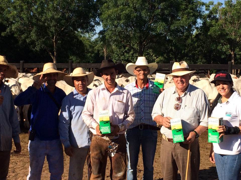 Giro pelo Brasil: Confira o manejo sanitário na Fazenda de Caçu-GO