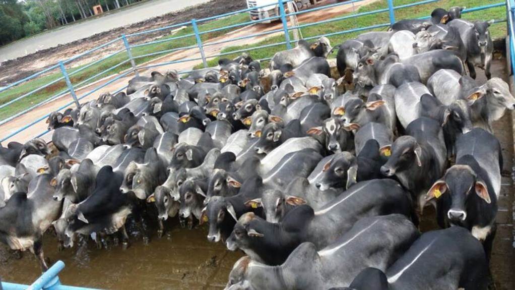 Conheça o lote vencedor da terceira semana de maio