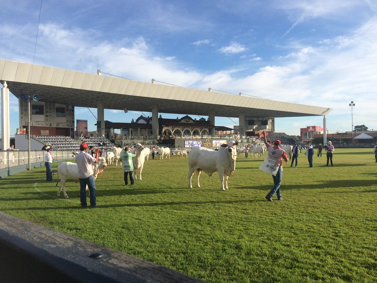 Confira os destaques da Expo Zebu 2017