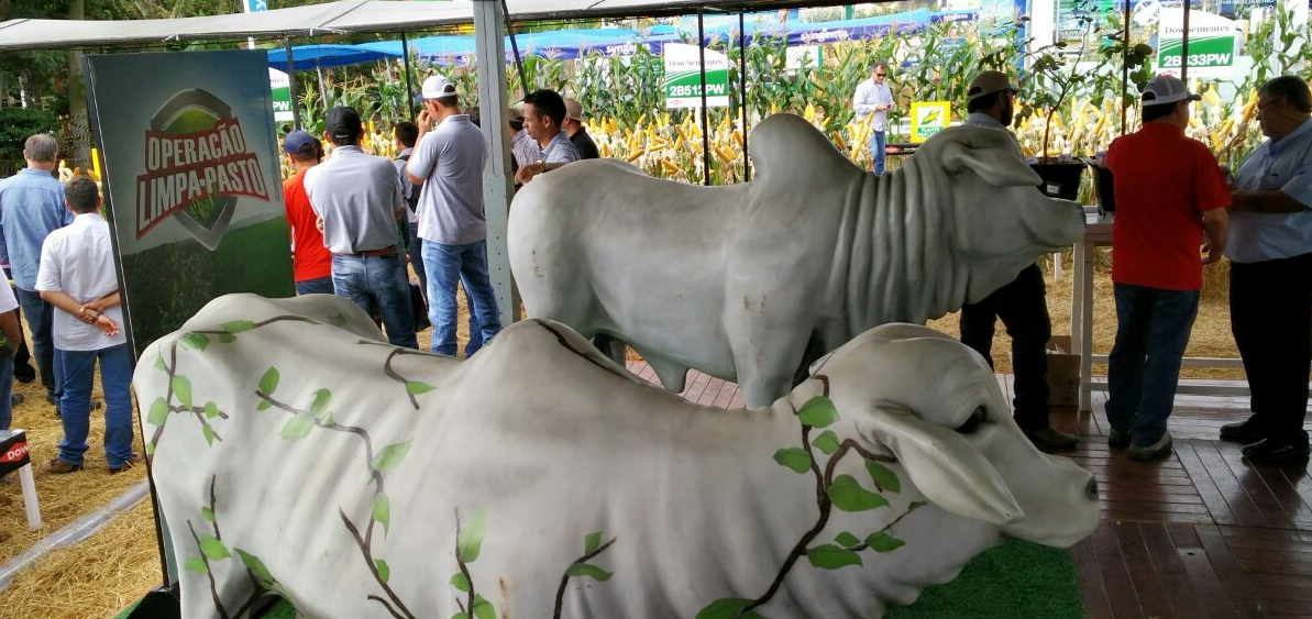 Pasto Limpo é destaque na AgroBrasília 2017