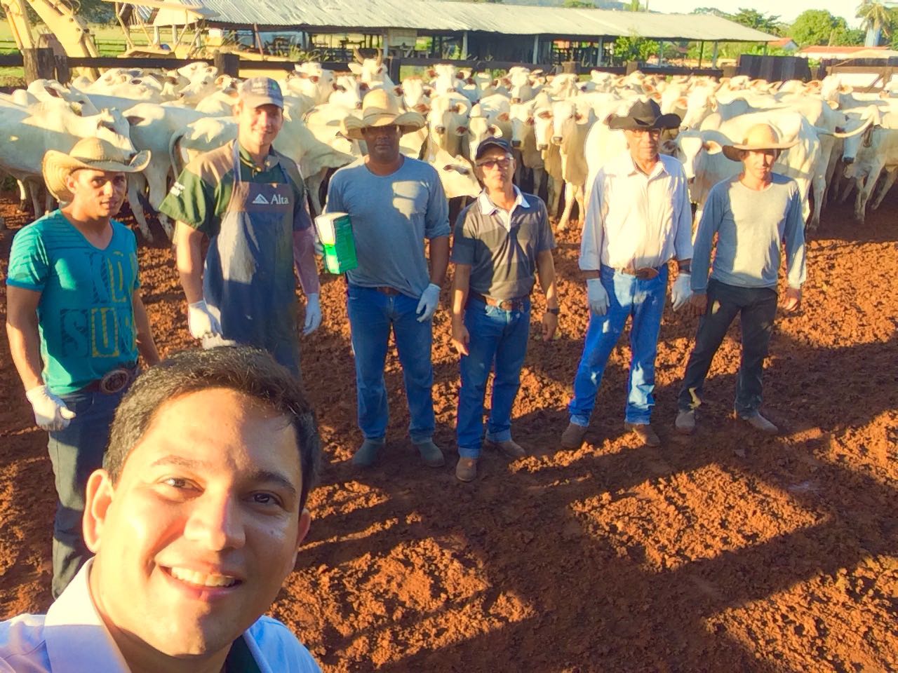 Giro pelo Brasil mostra manejo sanitário em fazendas do MT