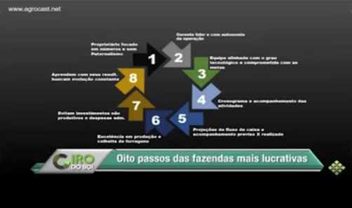 Conheça os 8 pontos em comum entre as fazendas mais lucrativas do Brasil