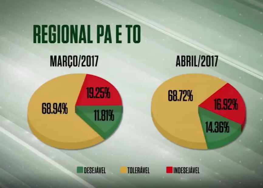 Melhora a qualidade das carcaças abatidas em PA e TO