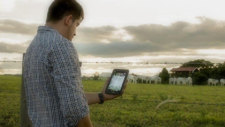 Custo de produção é a maior preocupação do pecuarista brasileiro, aponta pesquisa