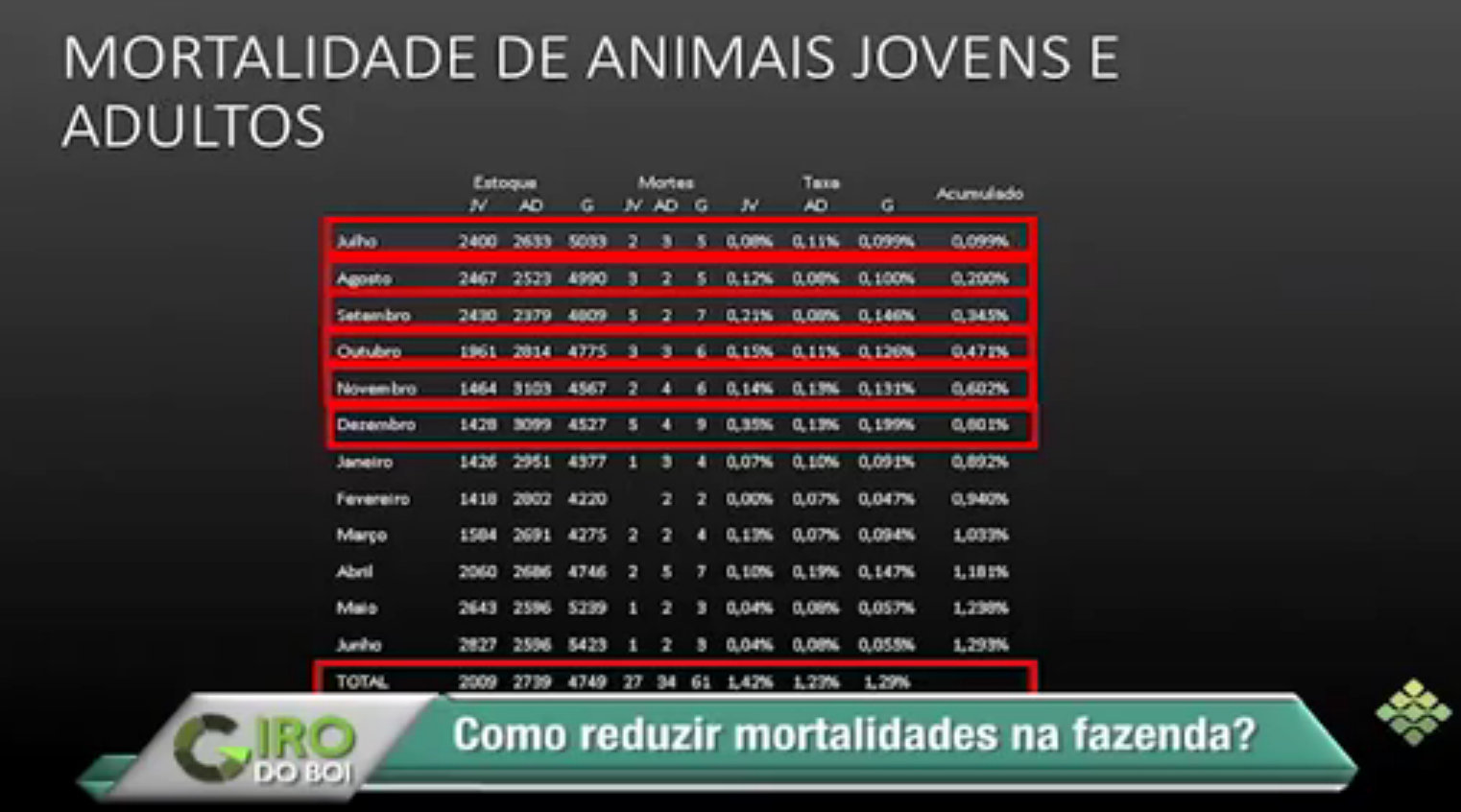 Mortalidade: como reduzir o problema em minha fazenda?