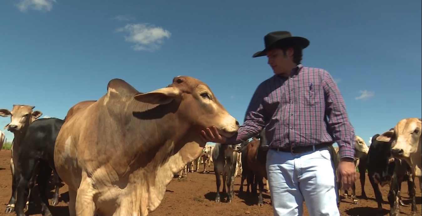 Bem estar animal ajuda fazenda de GO a atingir 35 arrobas por hectare ao ano