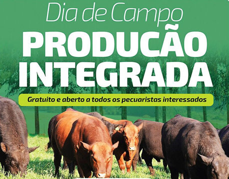 Dia de Campo Produção Integrada na Fazenda Capão Redondo, em Candói-PR