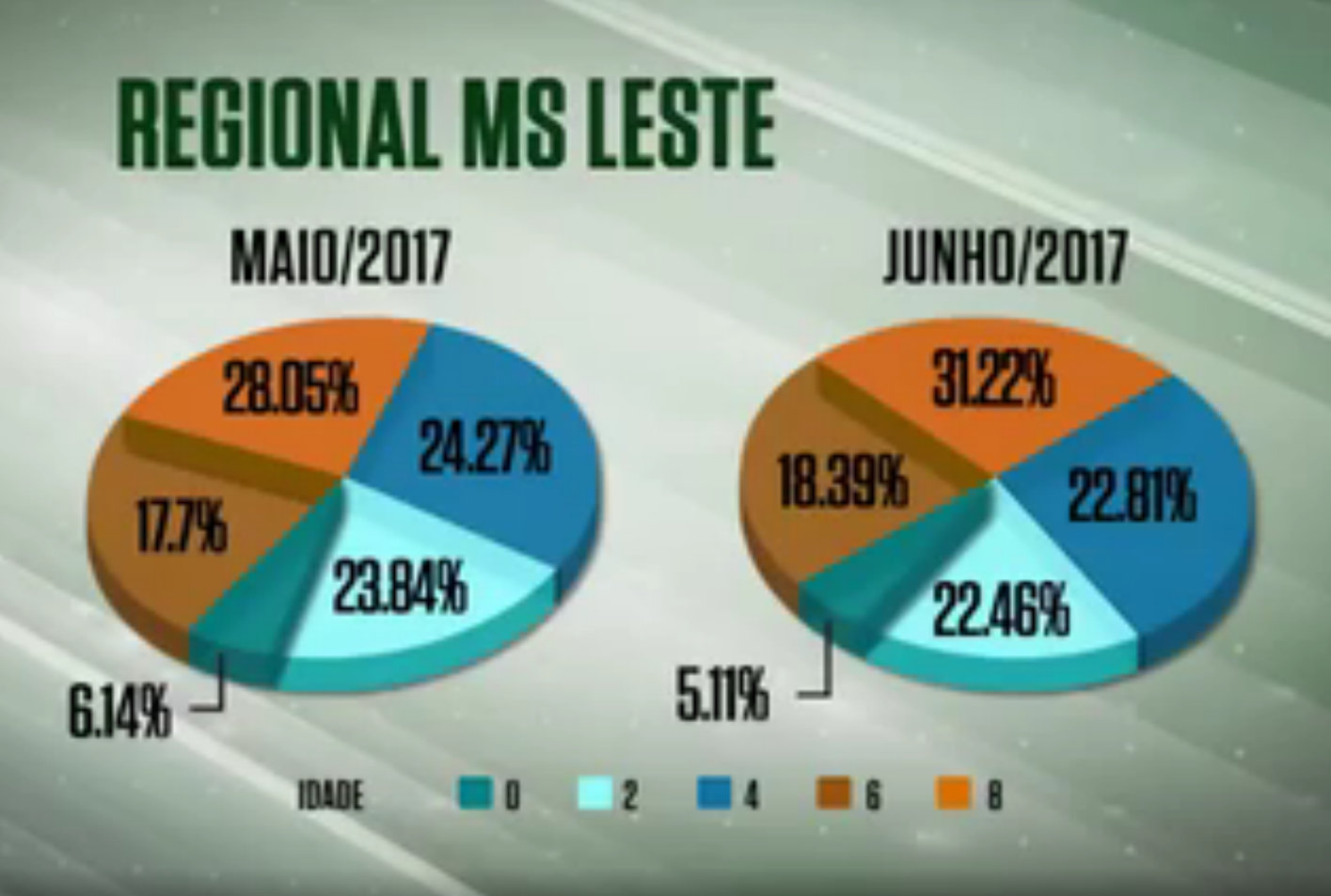 Abate de animais jovens cresce em frigoríficos do MS