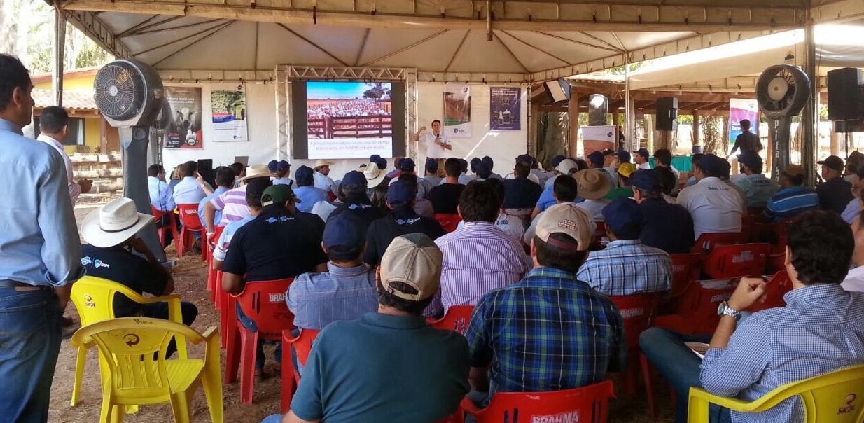 Fazenda Ponte Alta, de Canarana-MT, recebe segundo dia de campo do Tour DSM de Confinamento