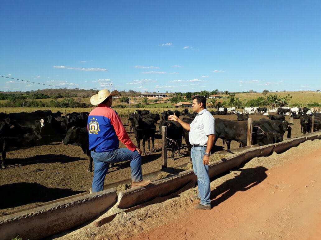 Fazendas do Tocantins apresentam alta produtividade no período seco