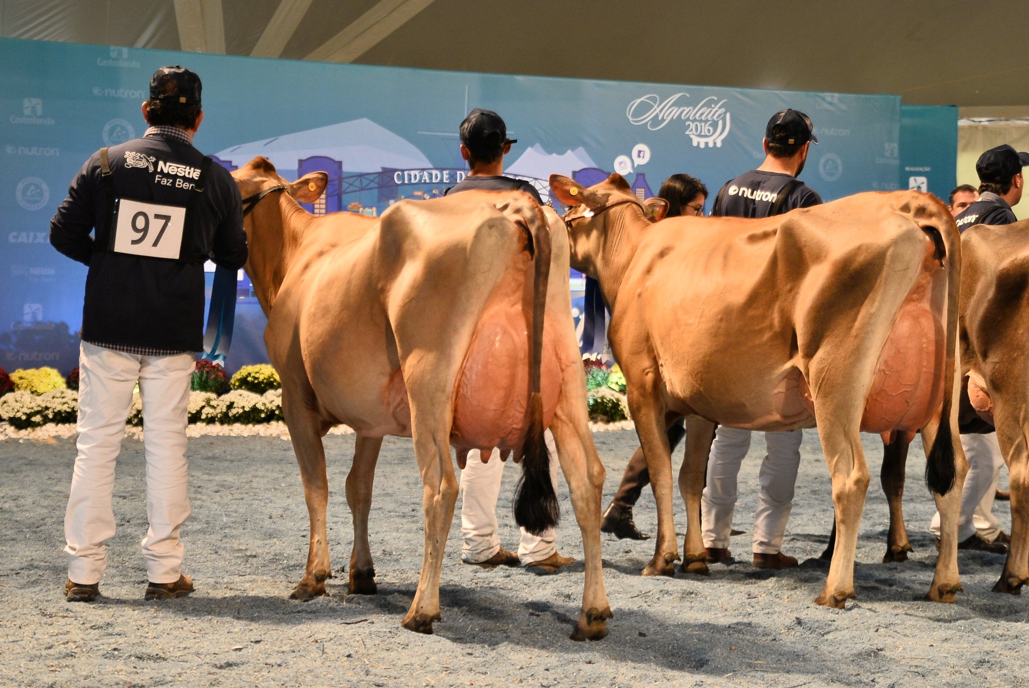 Agroleite 2017 reúne pecuaristas e cooperativas em Castro-PR